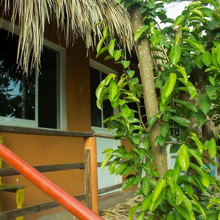 Posada La Huerta Mazunte Buitenkant foto
