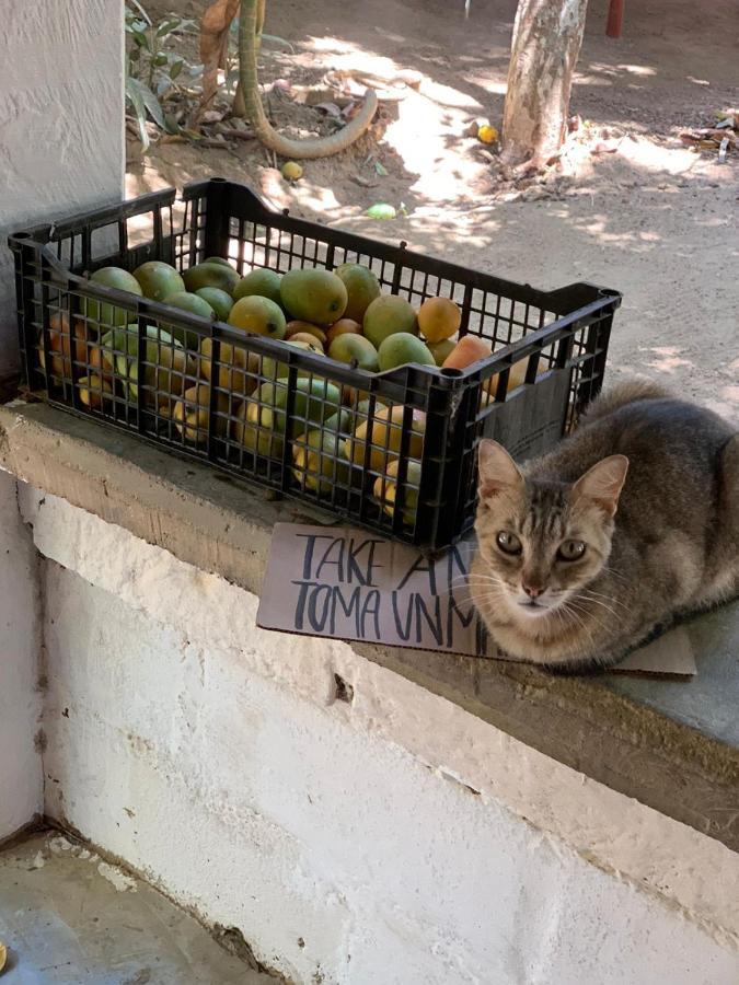 Posada La Huerta Mazunte Buitenkant foto